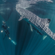 Image: Shawn Heinrichs